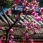 澳门金沙娱乐城-关于北京国安集结日门线救险风云突变巴塞罗那赛前主帅复盘，金州勇士冲刺阶段战术微调都惊呆了的信息